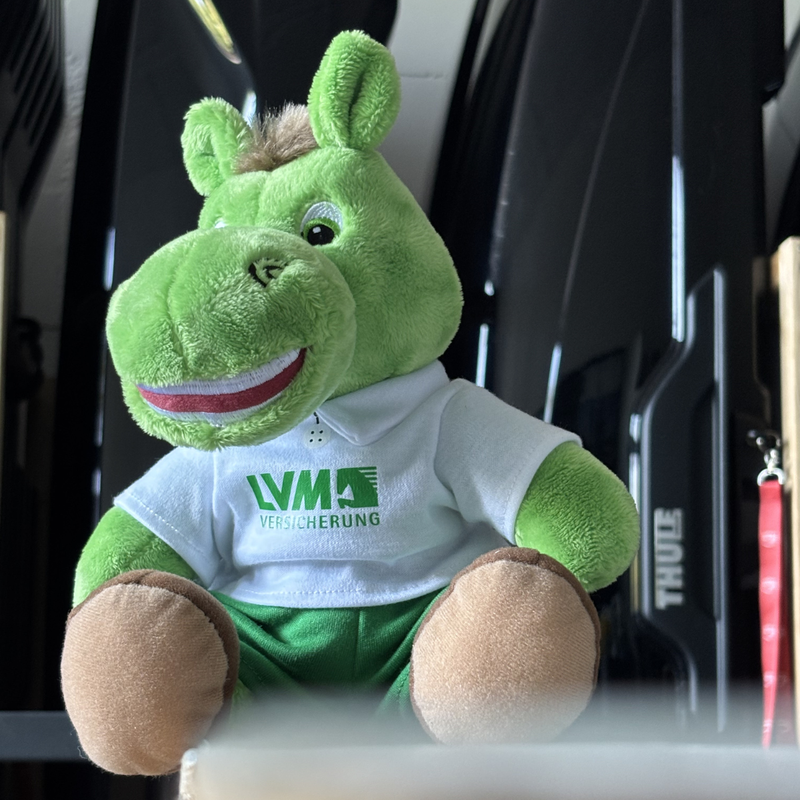 wuddi & travelträger: Zwei starke Marken kooperieren